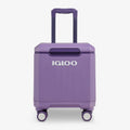 Tag Along Too Spinner Cooler