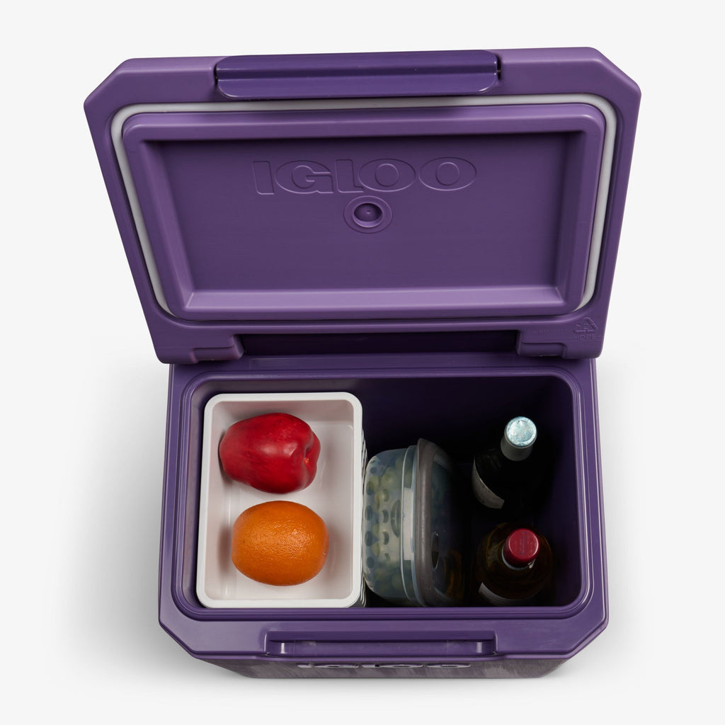 Tag Along Too Spinner Cooler