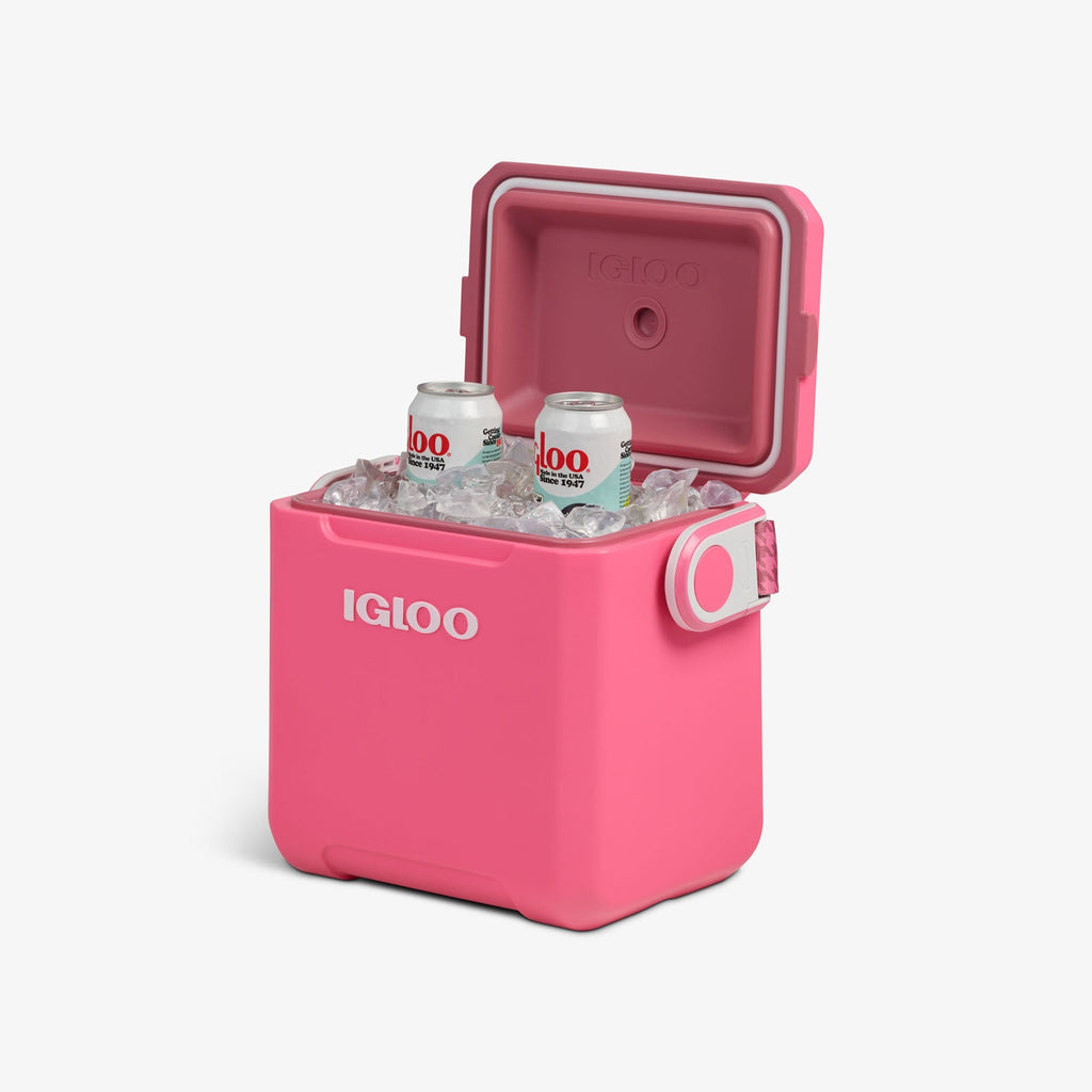 Tag Along Too Remix Cooler