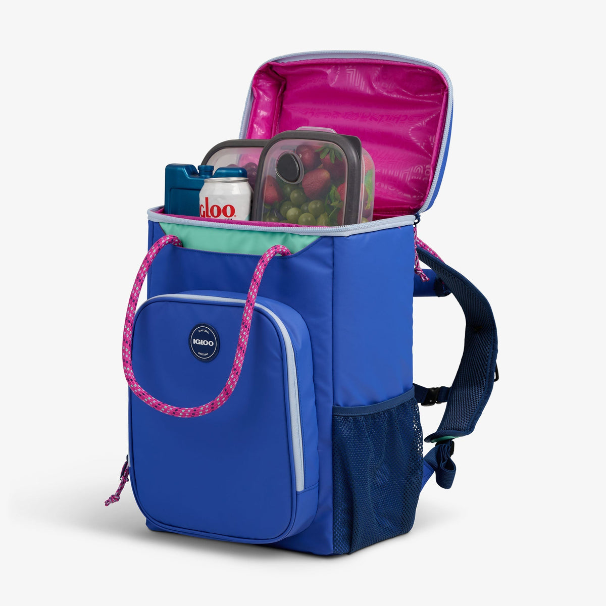 Summit 24-Can Backpack