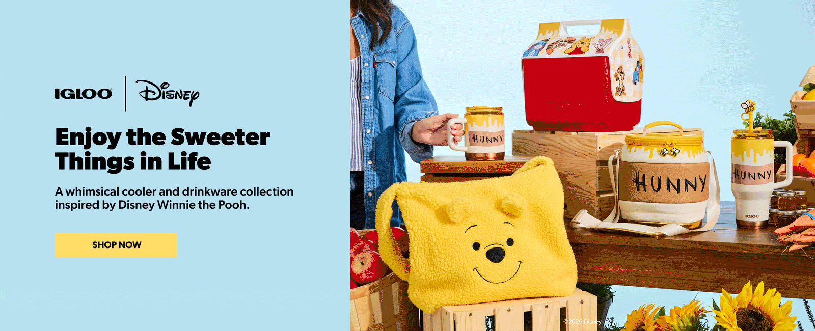 Igloo Disney Winnie the Pooh coolers and drinkware